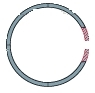 SP 40 - Sprengring