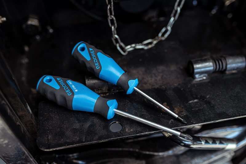 Torx T10 Bits, 2,5 Cm, Farbcodiert – 10 Stück Aus S2-Stahl, Für Schraubendreher & Bohrmaschinen