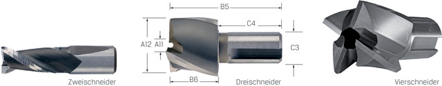 Zapfensenker-Kombisystem GFS, Flachsenker HSS